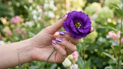 この色は実際には存在しない――あなたの脳が作り出したものだ