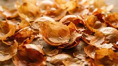 市販品のかわりに玉ねぎの皮：庭での活用法